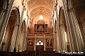 VBS_9864 - La Morra, Barolo, Grinzane Cavour, Pollenzo
